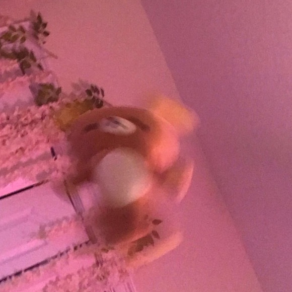 hamster7523
